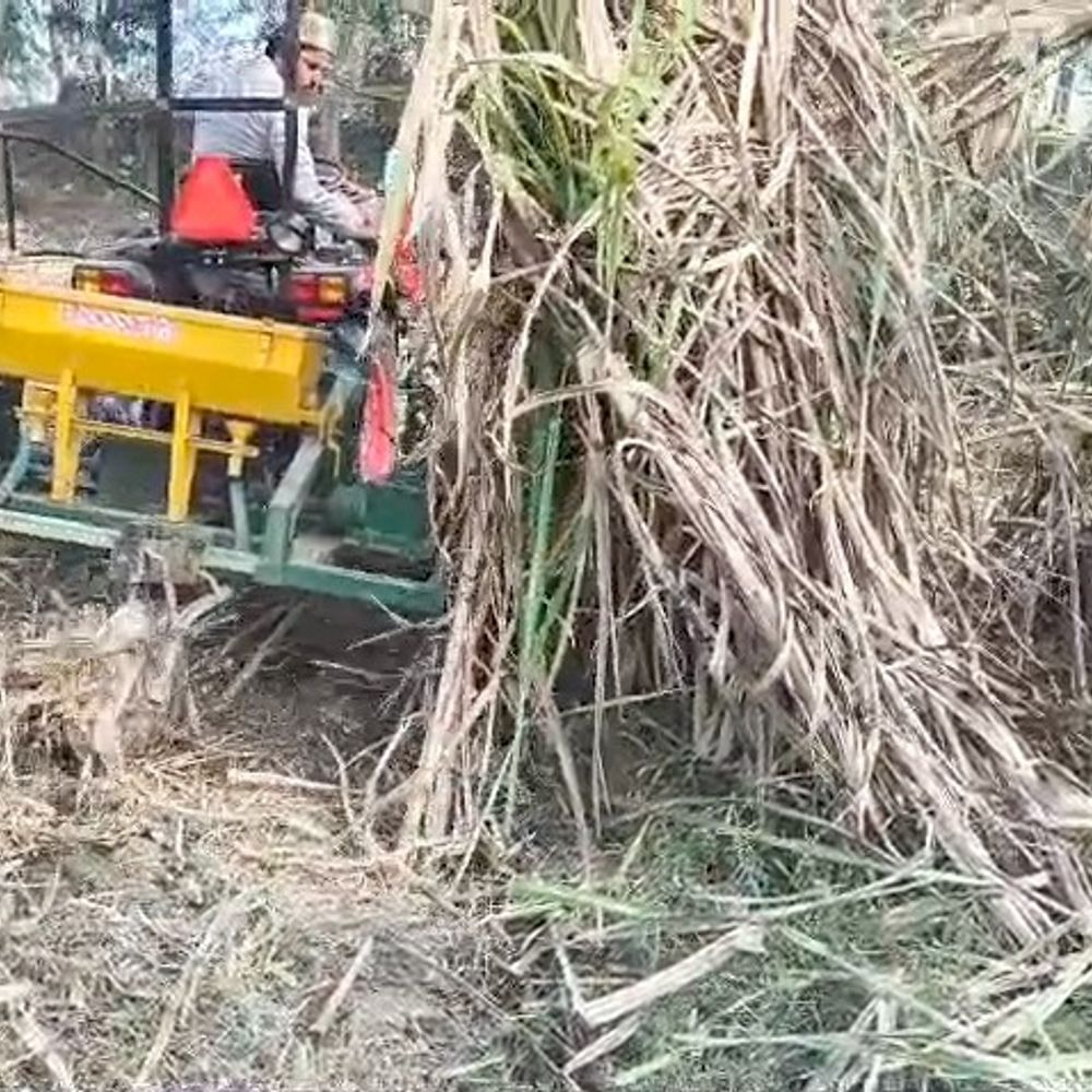 बिहार में किसानों को नए साल का तोहफा:गन्ना के दाम में प्रति क्विंटल 20 रुपए का इजाफा, चालू पेराई सीजन से मिलेगा लाभ