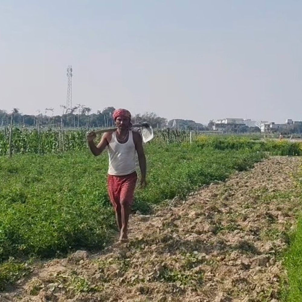 ‘बजट में हमारी मांगों को प्राथमिकता मिले’:भागलपुर में किसान बोले- सिंचाई की व्यवस्था हो, लागत बढ़ जाती, मुनाफा नहीं मिलता