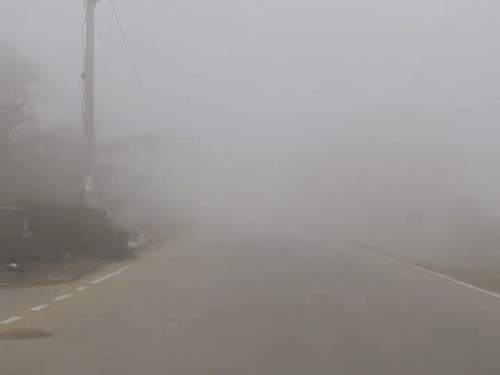 कहीं कोहरा, कहीं साफ आसमान:चित्तौड़गढ़ में अलग दिखा मौसम, मौसम विभाग के अनुसार – ठंड से फिलहाल नहीं मिलेगी राहत