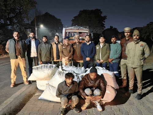 आगरा पुलिस ने 1.15 करोड़ का गांजा पकड़ा:226 किलो गांजा के साथ 2 तस्कर भी पकड़े, दूसरे राज्यों से लाकर आगरा में खपाने की थी तैयारी