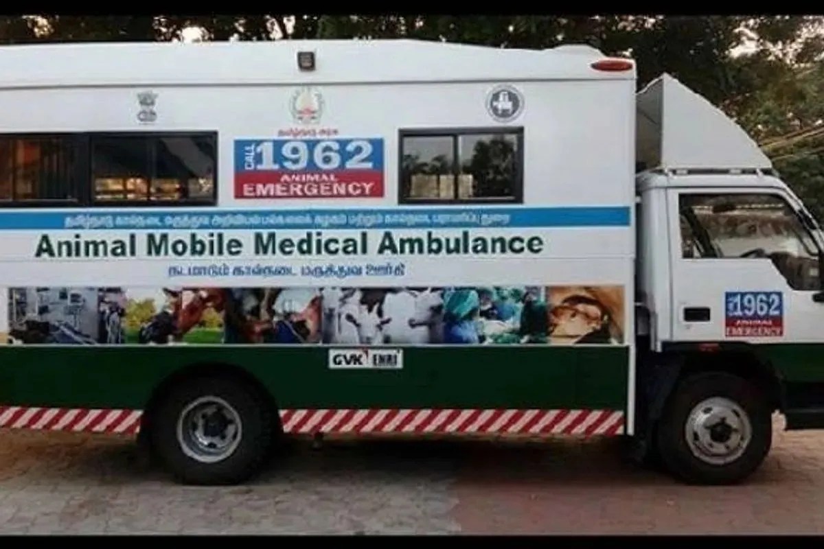 उत्तरायण पर अहमदाबाद में पक्षियों के जख्मी होने की आशंका 145 फीसदी अधिक