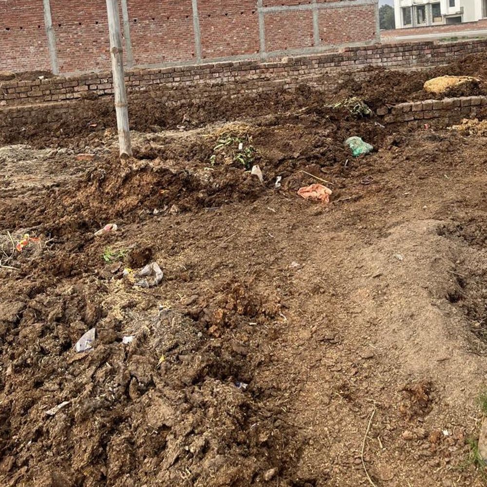 पारा क्षेत्र में अवैध डेयरियों पर कार्रवाई नहीं:शासनादेश के बाद भी कुछ नहीं हो रहा, इलाके में फैल रही दुर्गंध