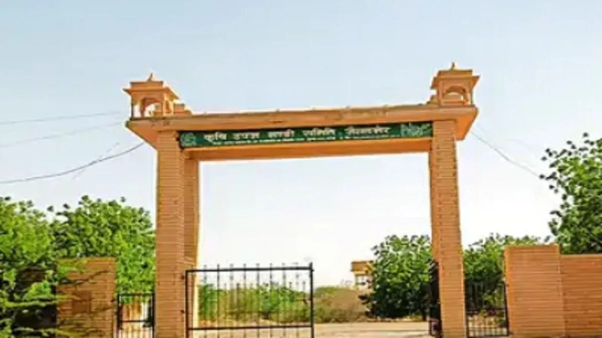 जैसलमेर में जीरा मंडी तो शुरू हुई, लेकिन पहले साल नहीं दिखा खास रुझान