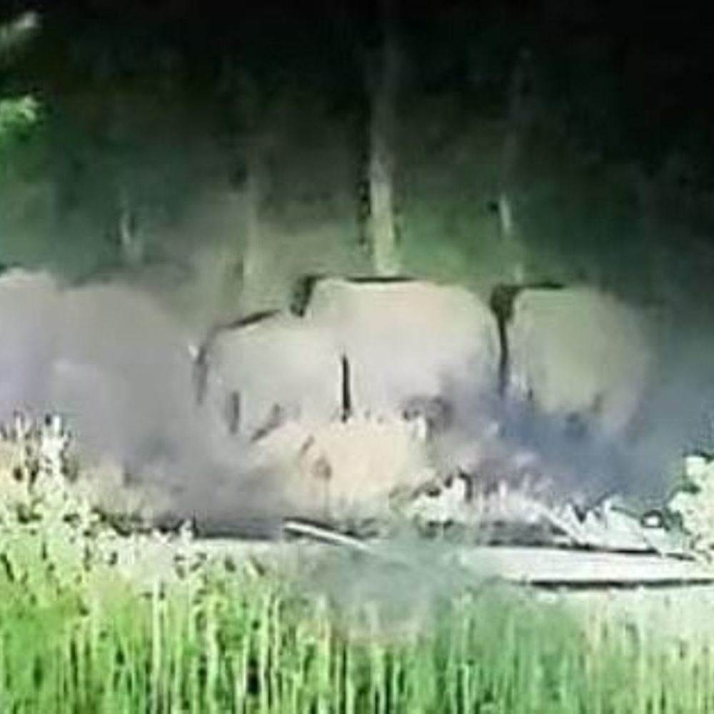 रामगढ़ में हाथियों का उत्पात जारी:गोला प्रखंड में फसलें और घर बर्बाद, ग्रामीण दहशत में; सुरक्षा की मांग