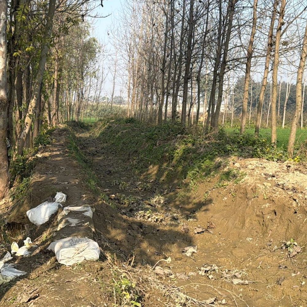 चमरौआ में बदहाल नहरों से गेहूं सरसों की फसल तबाह:अचानक पानी आने से बर्बाद हुईं फसलें, विभाग ने नहीं किया सर्वे