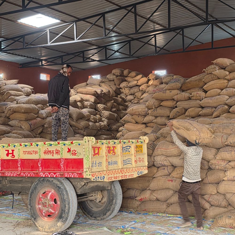 48 हजार किसानों ने किया ऑनलाइन आवेदन:औरंगाबाद में धान अधिप्राप्ति की प्रक्रिया जारी; 11 हजार किसानों से खरीदा धान