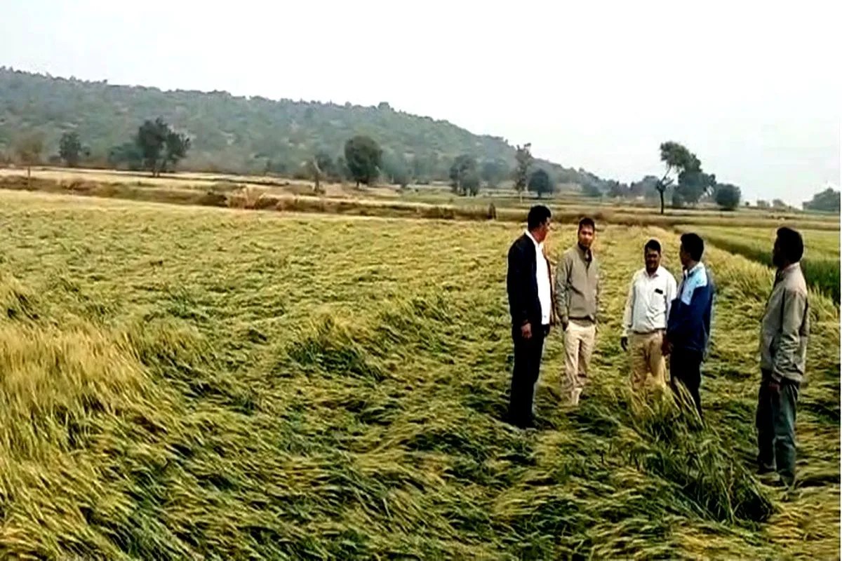 #Ratlam में मावठा,चिंता एक ओर नया सिस्टम हो रहा एक्टिव