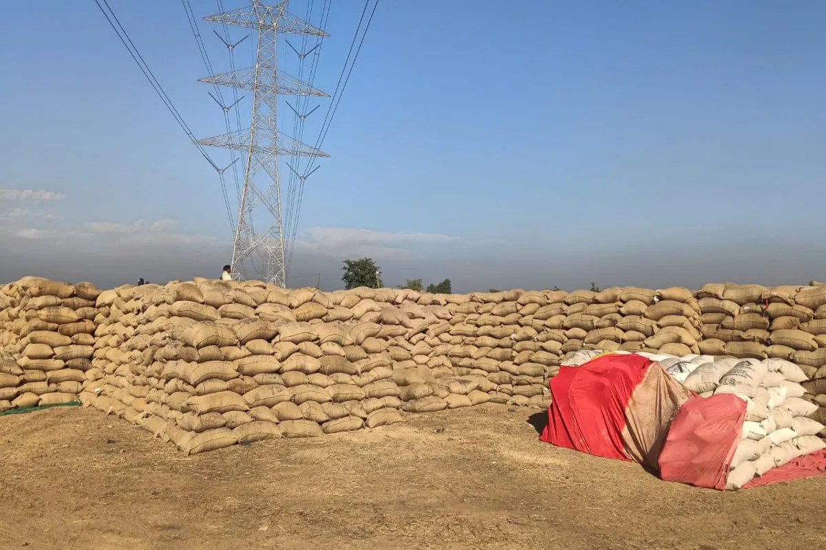 CG Dhan Kharidi: धान तैयार, फिर भी खरीदी नहीं… मंडी व्यवस्था से किसान त्रस्त, किसानों में बढ़ता आक्रोश