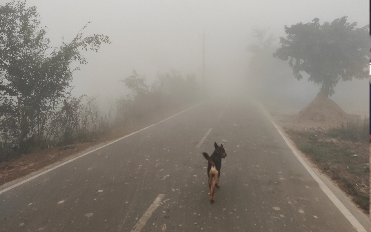 Weather update: नहीं मिली ठंड से राहत, आज पूरे दिन नहीं हुए भगवान भास्कर के दर्शन