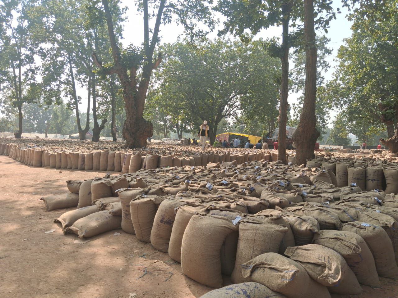 लक्ष्य से कम खरीदी, 91 करोड़ रुपए का भुगतान अटका