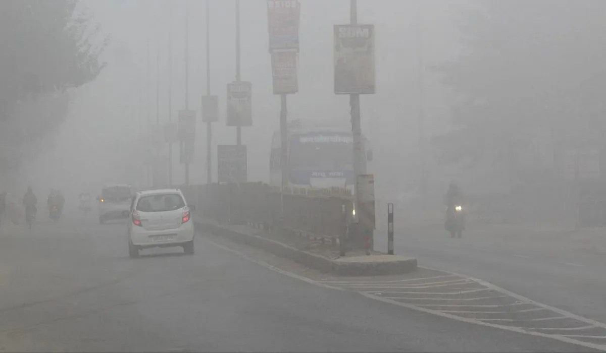 मावठ से बदला मौसम, सर्दी लौटी, कोहरे ने बढ़ाई मुश्किलें