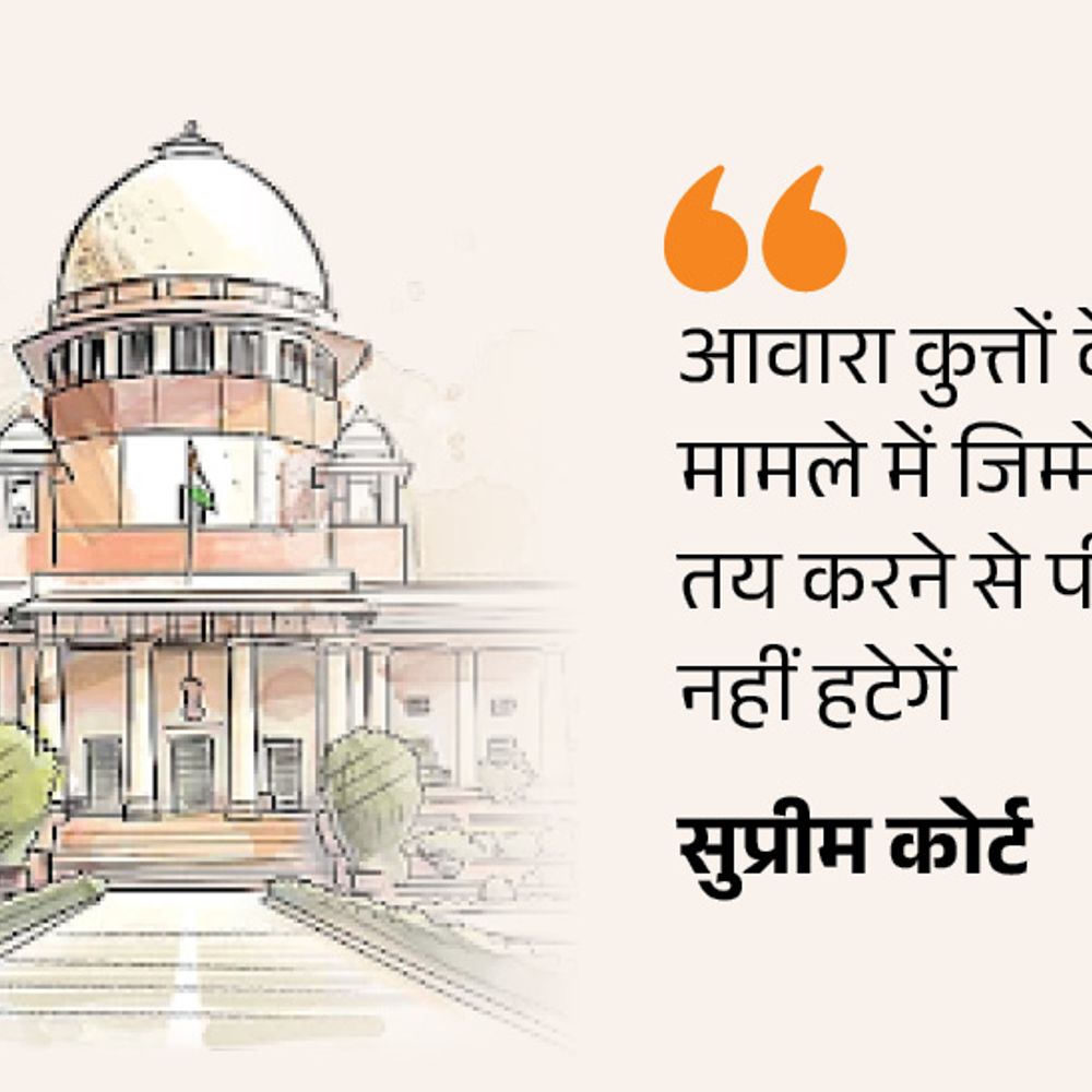 आवारा कुत्तों का मामला, डॉग फीडर्स की जिम्मेदार तय होगी:सुप्रीम कोर्ट ने कहा- हमारी टिप्पणियों को मजाक नहीं समझें, हम गंभीर हैं