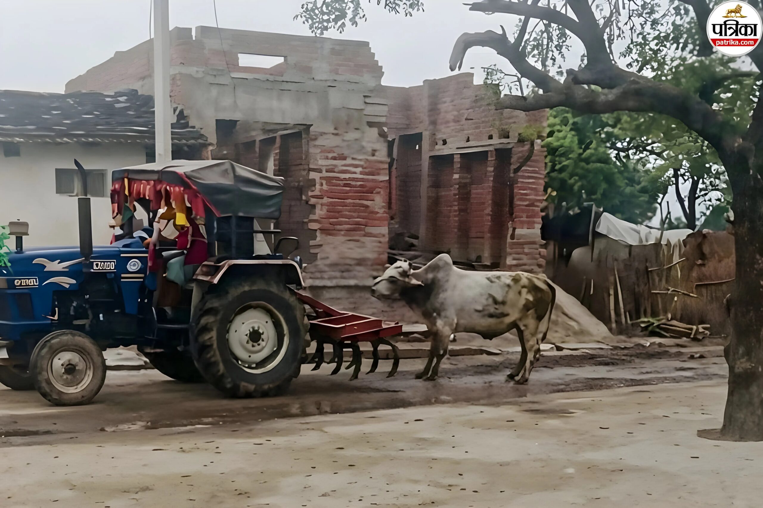 भीलवाड़ा में नंदी से क्रूरता के बाद बवाल, युवक को ‘मुर्गा’ बनाकर घुमाया, ‘कंगारू कोर्ट’ पर प्रताड़ना और जुर्माने का आरोप