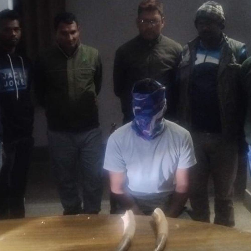 पलामू में दो हाथी दांत के साथ तस्कर गिरफ्तार:मिर्चइया वाटरफॉल के पास वाइल्डलाइफ क्राइम कंट्रोल ब्यूरो की कार्रवाई