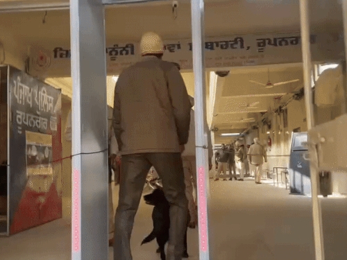 6 राज्यों के 10 कोर्ट कॉम्पलैक्स को उड़ाने की धमकी:इनमें हिमाचल हाईकोर्ट भी शामिल, ईमेल मिलने के बाद परिसर खाली कराए