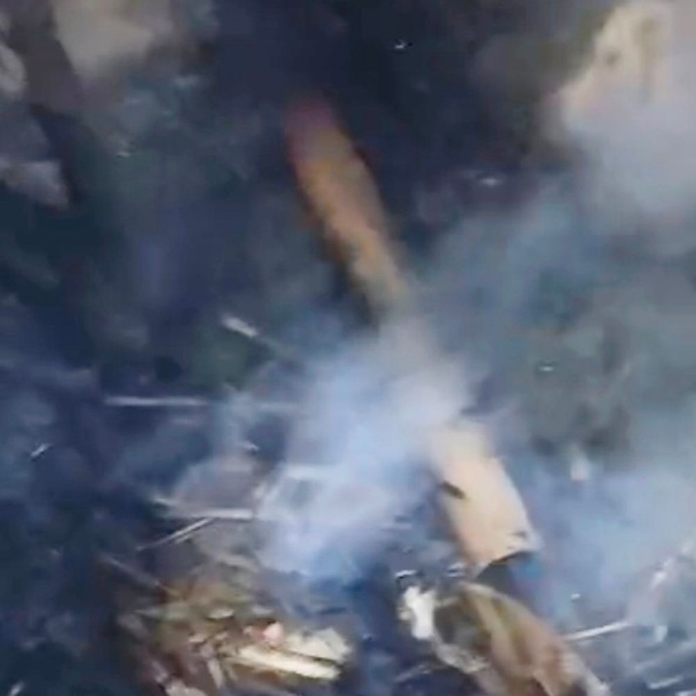 झोपड़ी में आग लगने से 2 मवेशियों की मौत:शेखपुरा में 1.5 लाख की संपत्ति राख, पीड़ित परिवार ने मांगी सरकारी सहायता