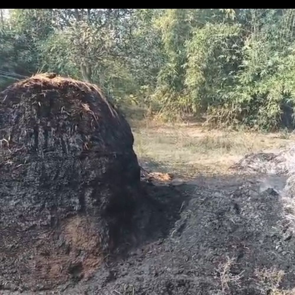 बगाही गांव में 10 बीघा धान का कुंज जला:अज्ञात लोगों ने लगाई आग, किसानों को हुआ लाखों का नुकसान