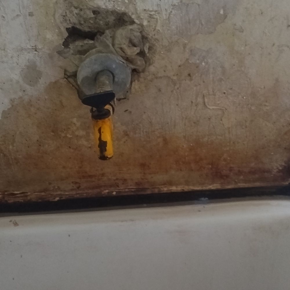 जबलपुर मेडिकल कॉलेज के वाटर कूलर में काई:मरीजों को मिल रहा दूषित पानी, पाइपलाइन नाली से गुजरी