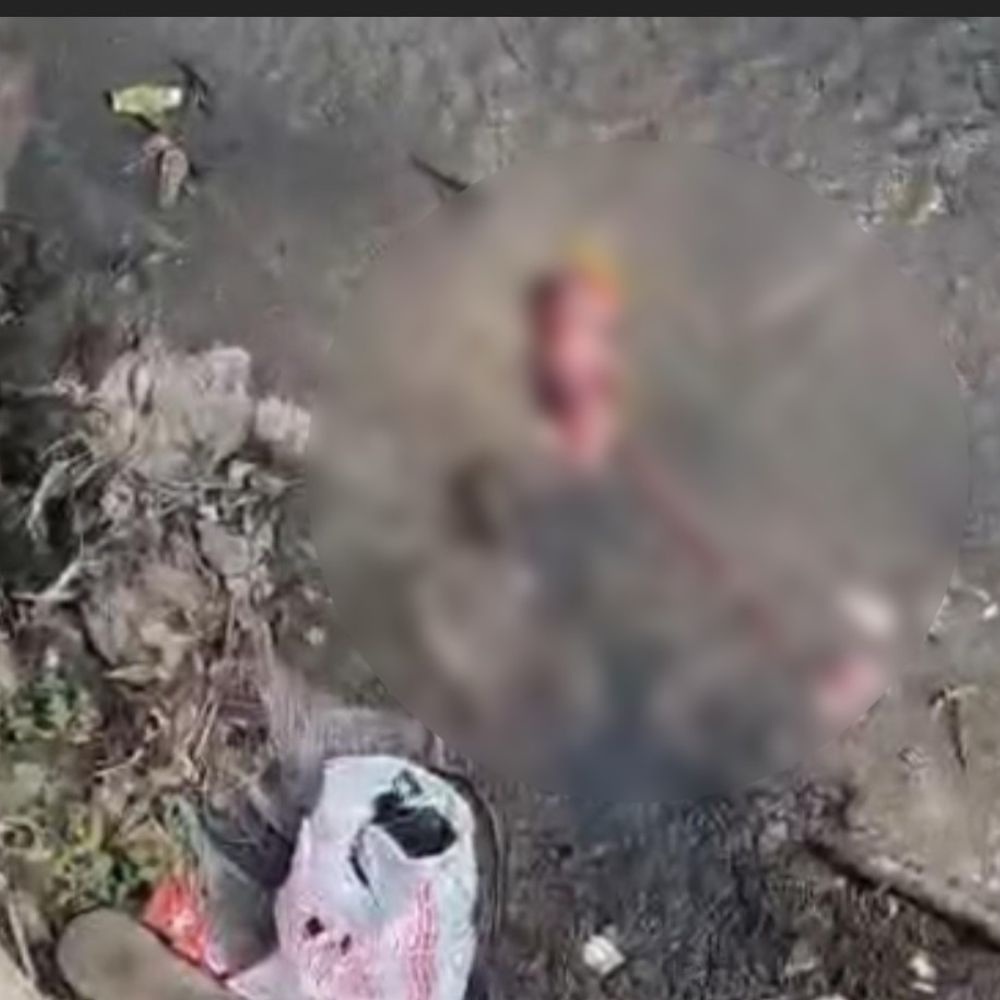 राजगढ़ में कब्रिस्तान नाले में मिला 5-6 माह का भ्रूण:एक हफ्ते में दूसरी घटना, अवैध गर्भपात की आशंका पर जांच