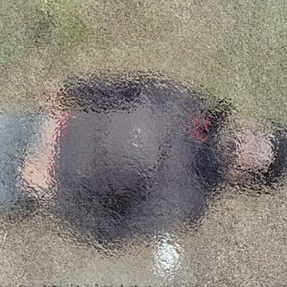 कपूरथला में झाड़ियों में मिला युवक का शव:6 दिन से लापता था, बैंककर्मियों संग अमृतसर गया, जालंधर का रहने वाला