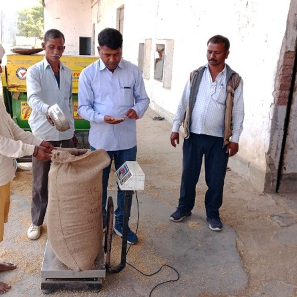 सोनभद्र में धान खरीद अचानक बंद:हजारों क्विंटल धान केंद्रों पर फंसा, किसान परेशान, स्पष्ट निर्देश जारी करने की मांग