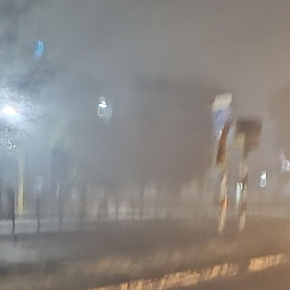 किशनगंज में न्यूनतम तापमान 10 डिग्री सेल्सियस:कड़ाके की ठंड और शीतलहर का प्रकोप जारी, 10-15 मीटर तक विजिब्लिटी सीमित