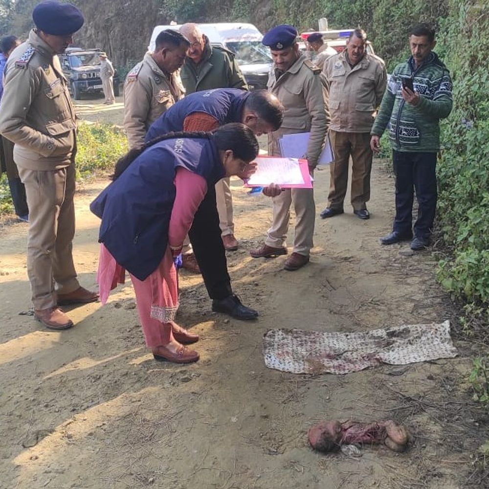 मंडी में मिला नवजात शिशु का शव:फॉरेंसिक टीम ने जुटाए साक्ष्य, पंचायतों का रिकॉर्ड चेक करेगी पुलिस