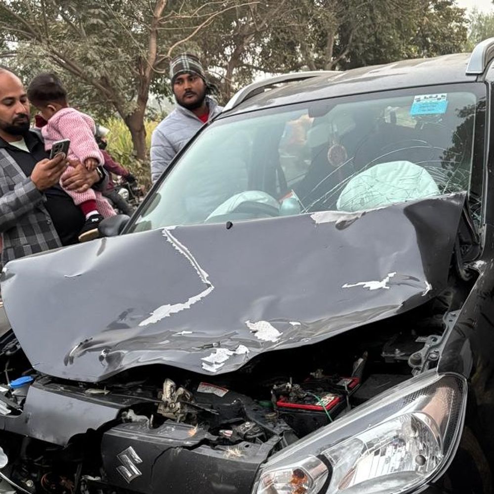 80 KM की रफ्तार से नीलगाय से टकराई कार:40 फीट उछलकर खंती में गिरा जानवर, एयरबैग खुलने से कार सवार बचे