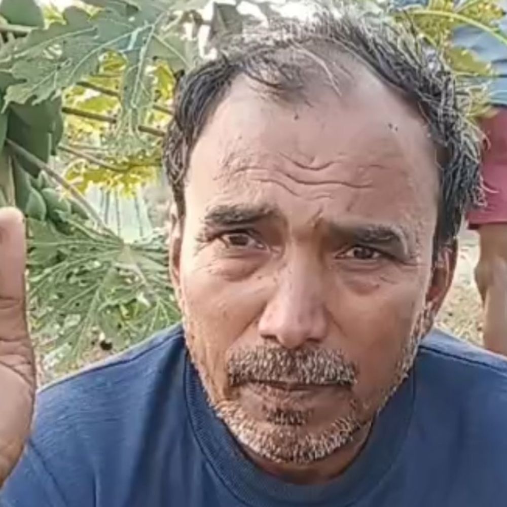 बांका के तालाब में मछलियों की मौत:मछली पालक बोला- ₹8 लाख का नुकसान हुआ, ठंड की आशंका, सरकारी मदद की मांग