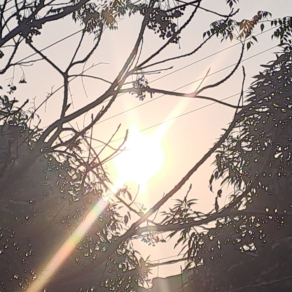 गोपालगंज में धूप निकलने से लोगों को मिली राहत:अधिकतम तापमान 22 डिग्री पहुंचा, फसलों के लिए होगा लाभदायक