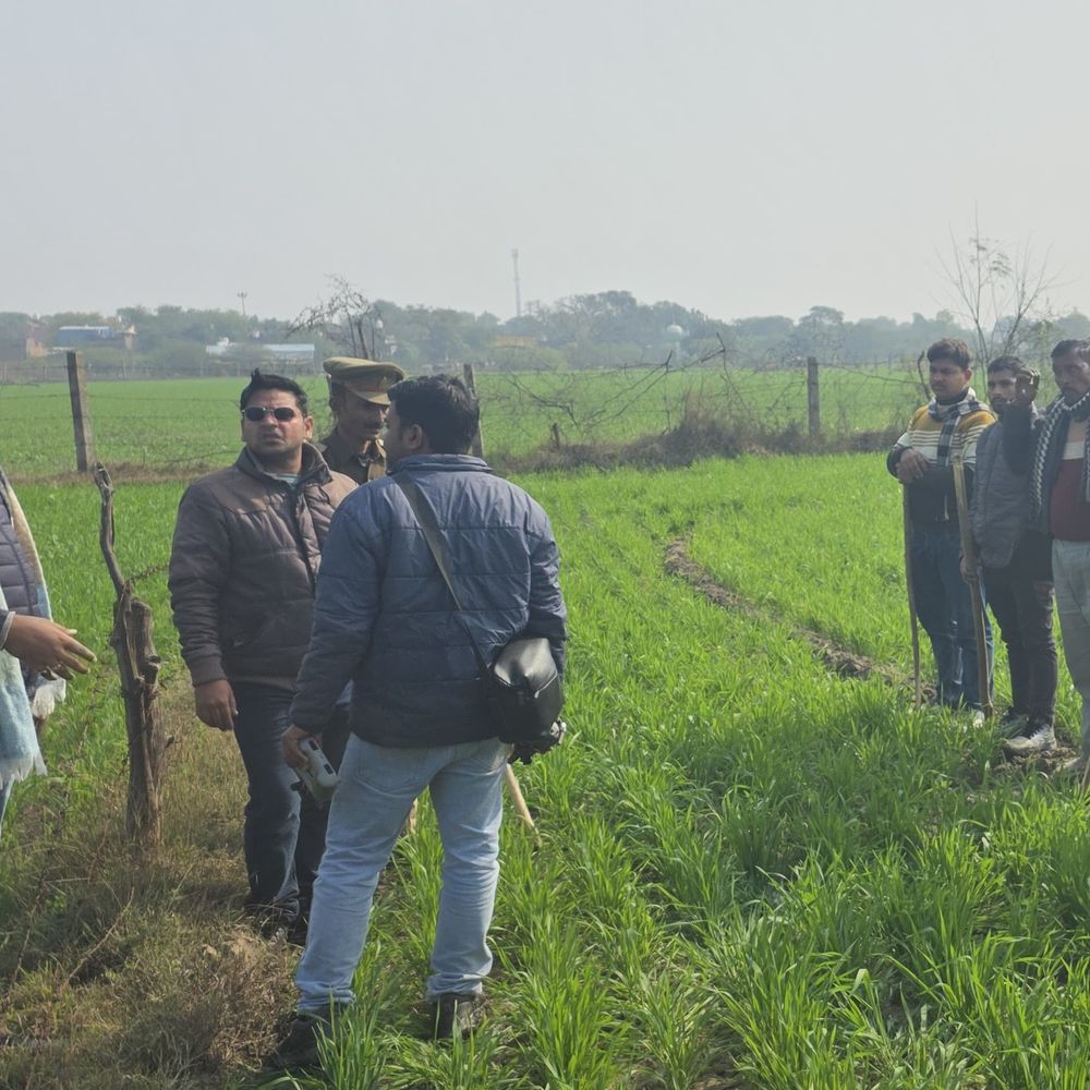 जालौन में मटर के खेतों में दिखा तेंदुआ:वन विभाग का सर्च ऑपरेशन जारी, अभी तक पकड़ से दूर