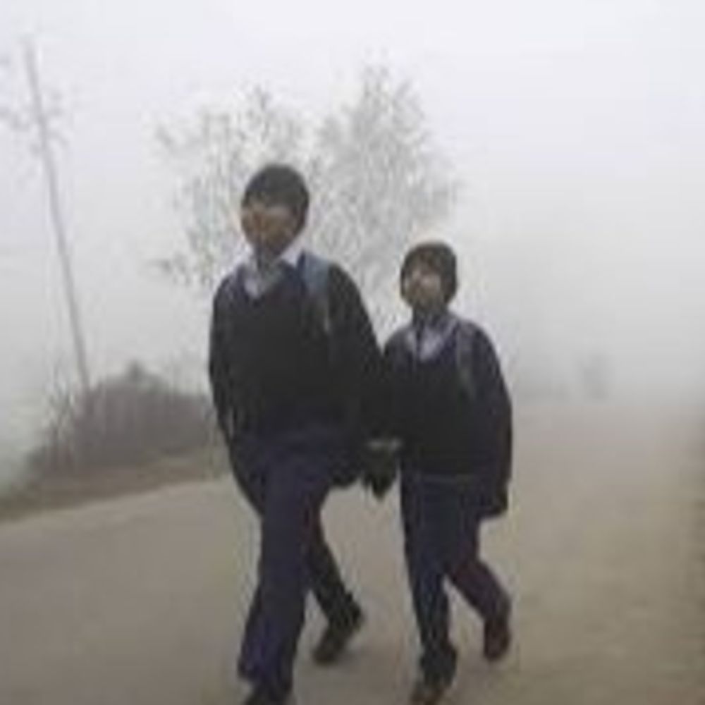 पूर्णिया में कड़ाके की ठंड, पछिया हवा से बढ़ी कनकनी:8वीं तक के स्कूल 7 जनवरी तक बंद, जिलाधिकारी ने जारी किए निर्देश