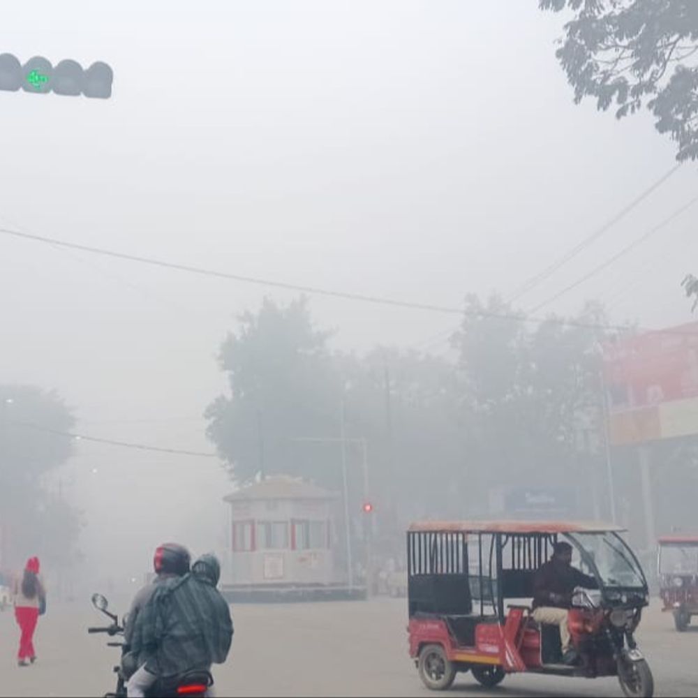 पूर्णिया में 2 दिन कोहरा-शीतलहर का ऑरेंज अलर्ट:सीजन का सबसे सर्द दिन रहा मंगलवार, 7.7 डिग्री सेल्सियस तक पहुंचा पारा