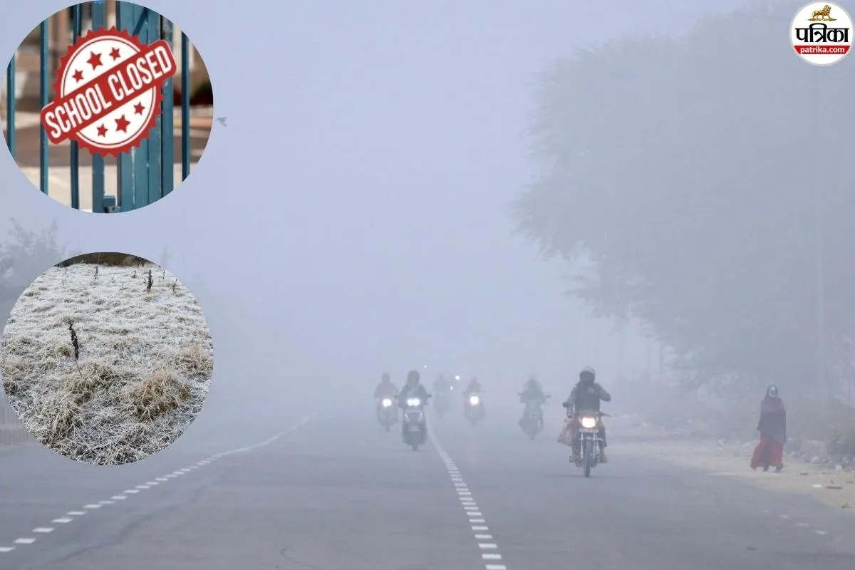 राजस्थान के 20 जिलों में घना कोहरा-शीतलहर का प्रकोप, 7 और जिलों में स्कूलों की छुट्टी, माउंट आबू का पारा 5वें दिन भी जमाव बिंदु पर
