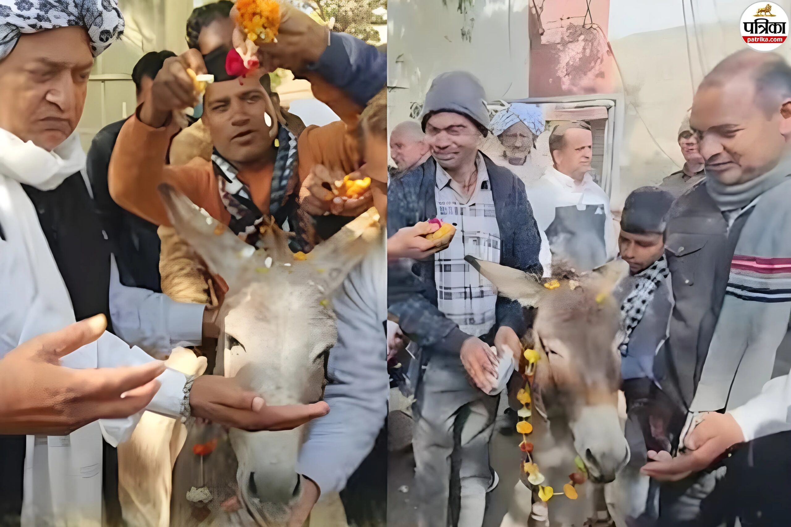 उदयपुर में यूरिया संकट पर किसानों ने ये क्या किया? जिसने देखा वो हैरान, देखें वीडियो