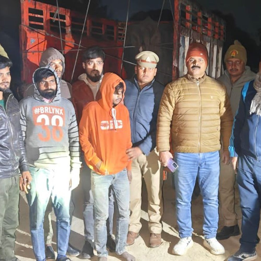 कौशांबी में पशु चोरों से पुलिस की मुठभेड़:7 आरोपी गिरफ्तार, दो को गोली लगी, 5 को दौड़ाकर पकड़ा