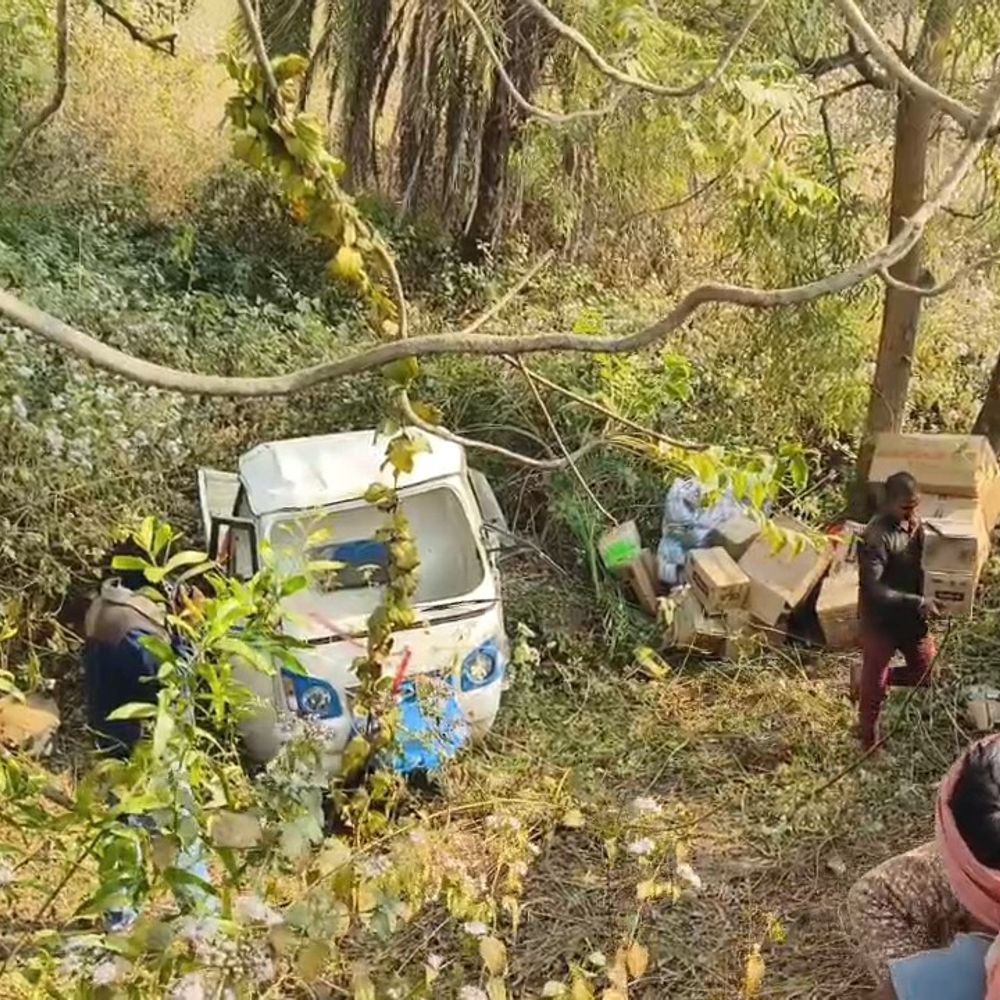 गिरिडीह में बड़ा हादसा टला, ऑटो पुलिया से गिरी:अचानक सामने आए मवेशी को बचाने में हुआ हादसा, चालक सुरक्षित; वाहन क्षतिग्रस्त