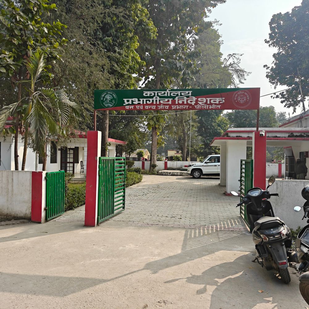 पीलीभीत में 1.25 लाख बकाया वसूली:सामाजिक वानिकी कार्यालय पहुंची अमीनों की टीम, हड़कंप