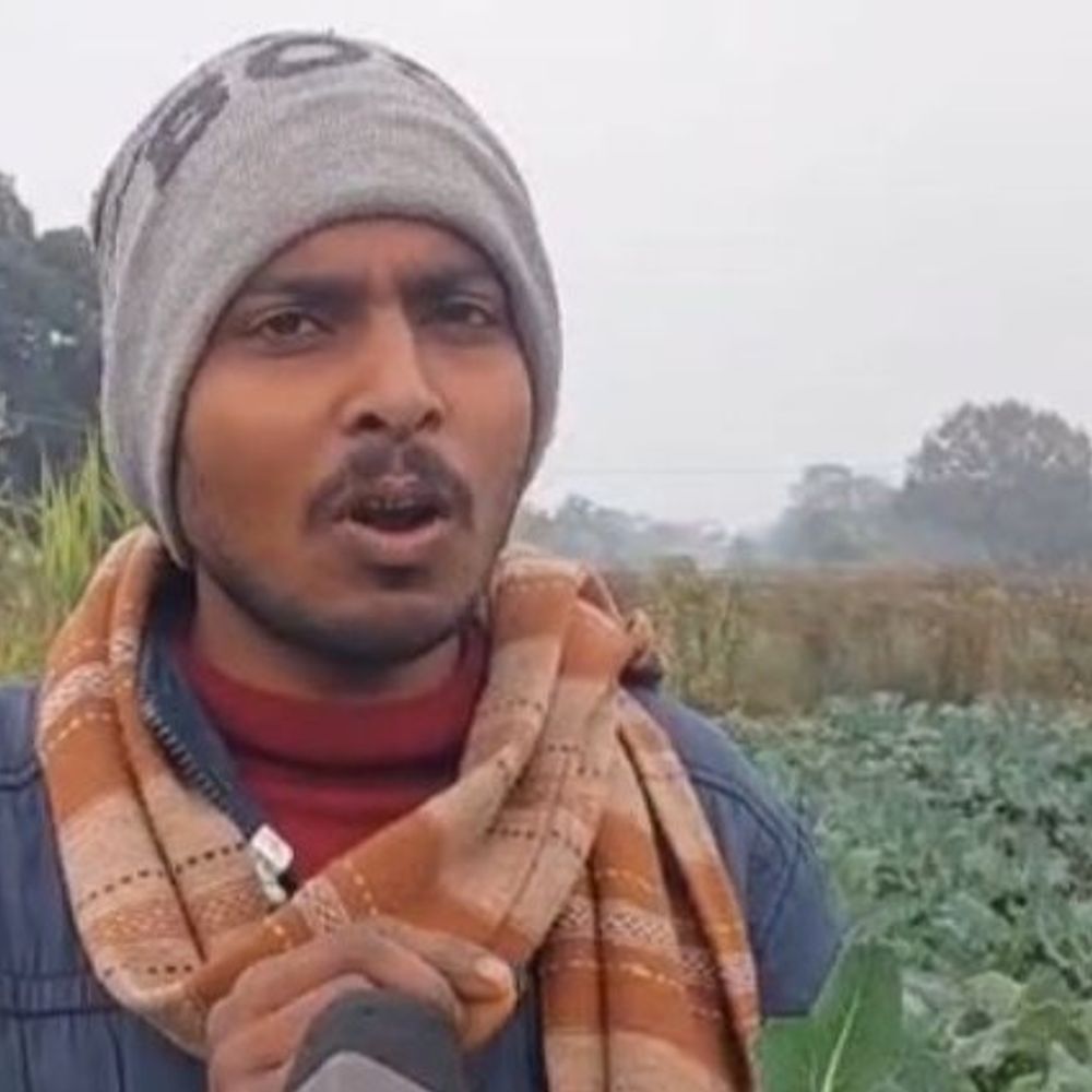 सीतामढ़ी में सब्जी उत्पादन कर सालाना कम रहे 10 लाख:परवल, फूलगोभी, पत्ता गोभी, उजला पत्ता गोभी और ब्रोकली की खेती