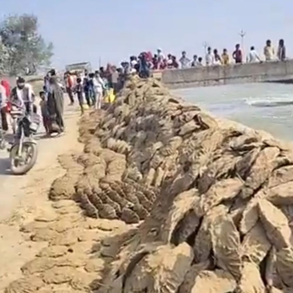 युवती लापता, नहर किनारे मिली चप्पलें:4 घंटे रेस्क्यू के बाद भी नहीं मिली, मुरैना में बस मिली; पुलिस ने परिजन को सौंपा