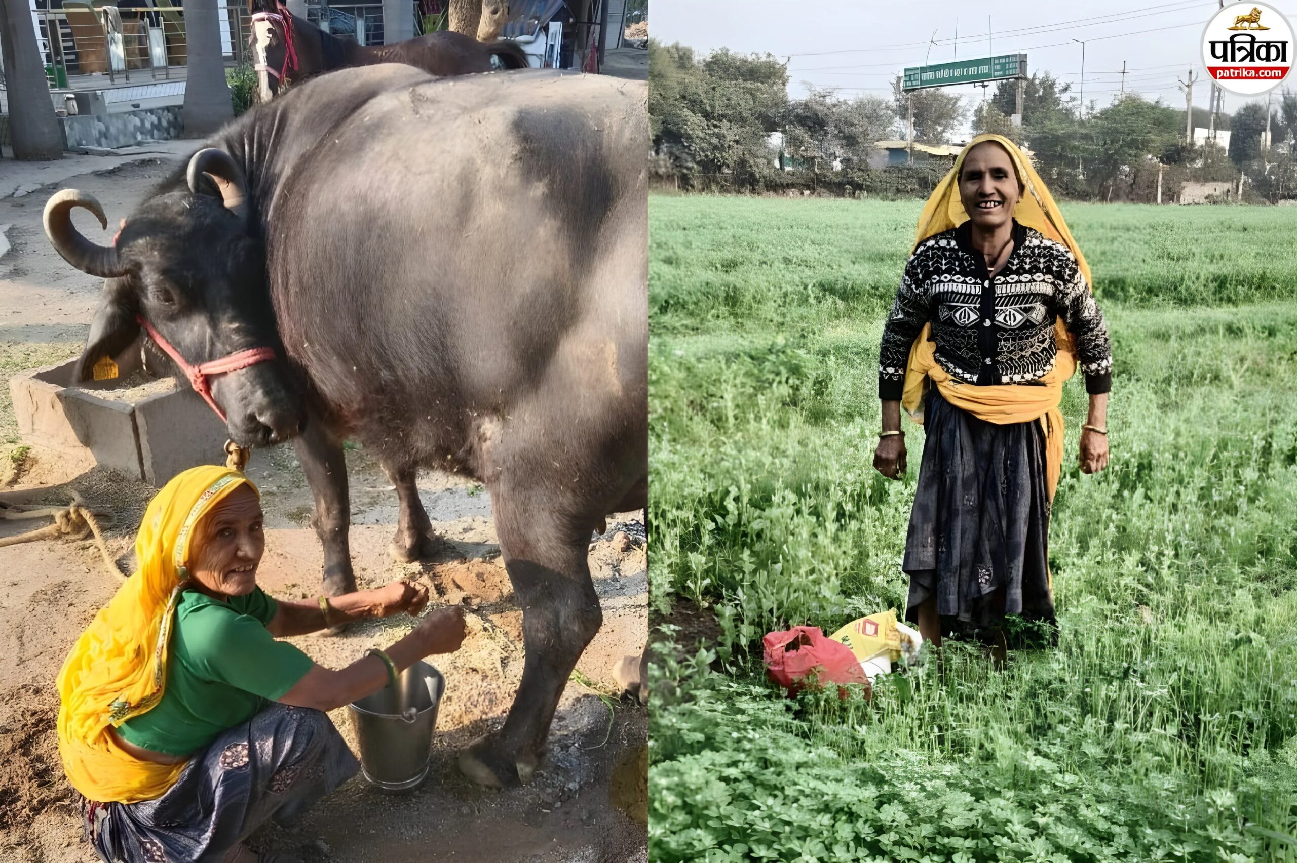 अजब-गजब: 70 साल की शाणी बहन ने 56 वर्षों से नहीं खाया अन्न का एक दाना, 14 की उम्र में छोड़ा भोजन, चाय और दूध के सहारे जीवन