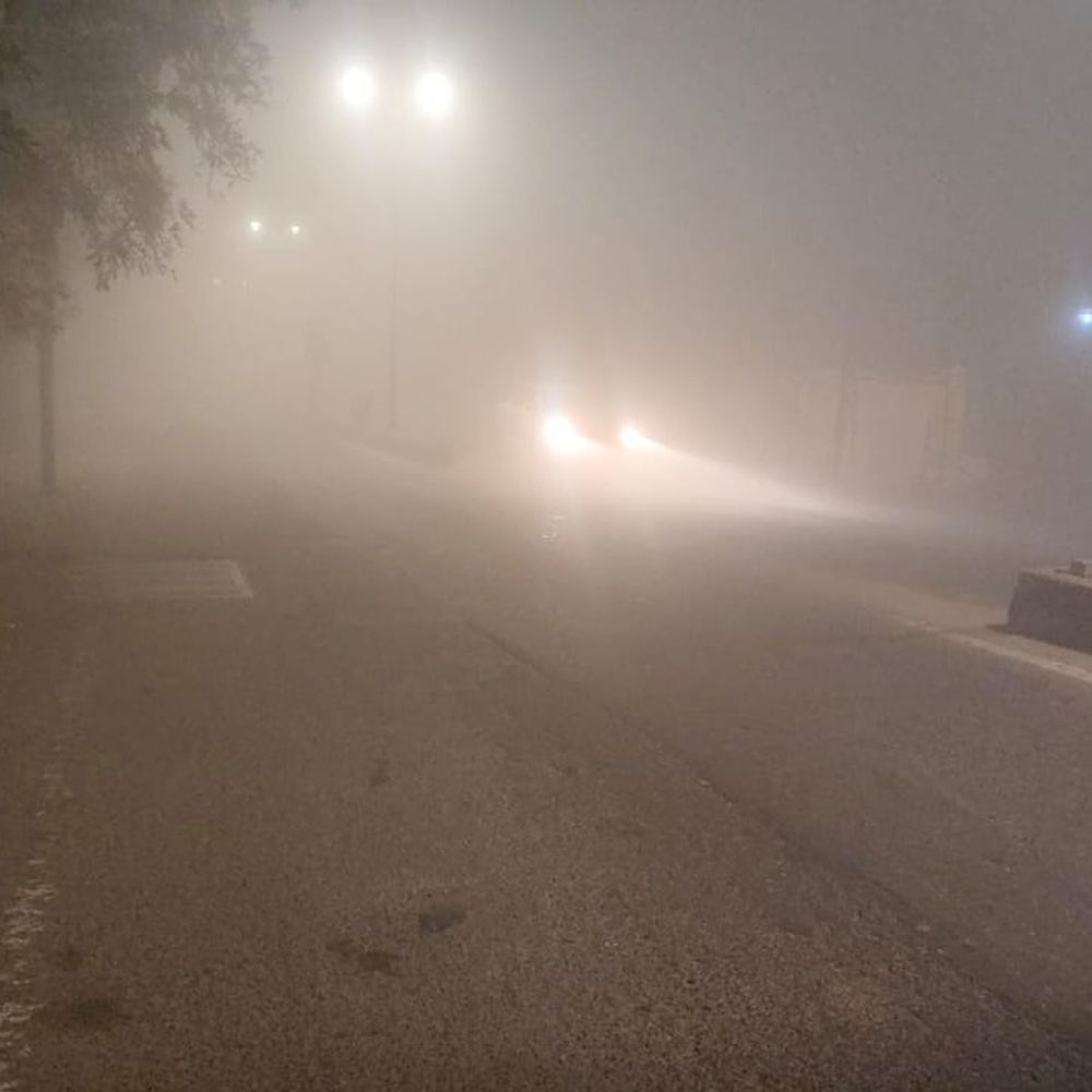 मुरादाबाद में घना कोहरा:टेम्प्रेचर 10°C, गलन बढ़ी, सर्द हवाएं परेशान कर रही, 20 जनवरी तक ऐसा ही रहेगा मौसम