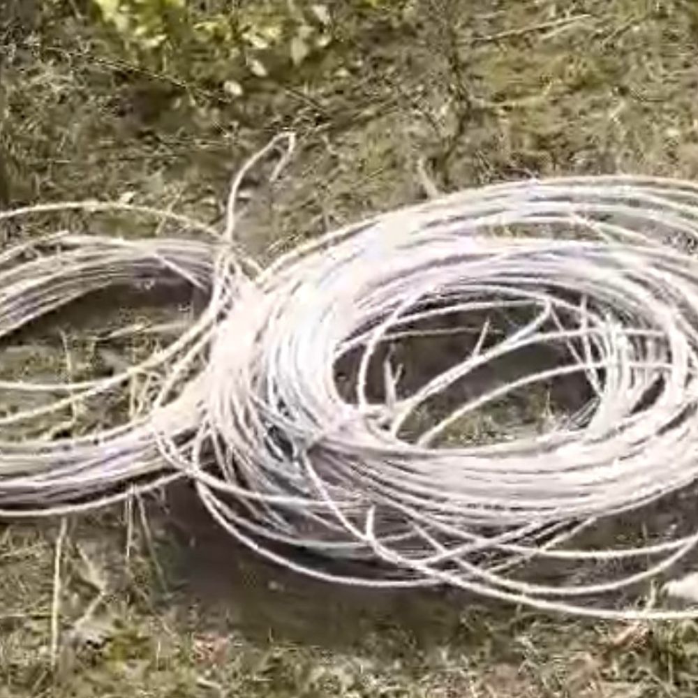 सतना में बिजली तार चोरी का प्रयास नाकाम:ठेकेदार के कर्मचारियों ने वीडियो बनाया, 3 नामजद समेत 6 पर केस