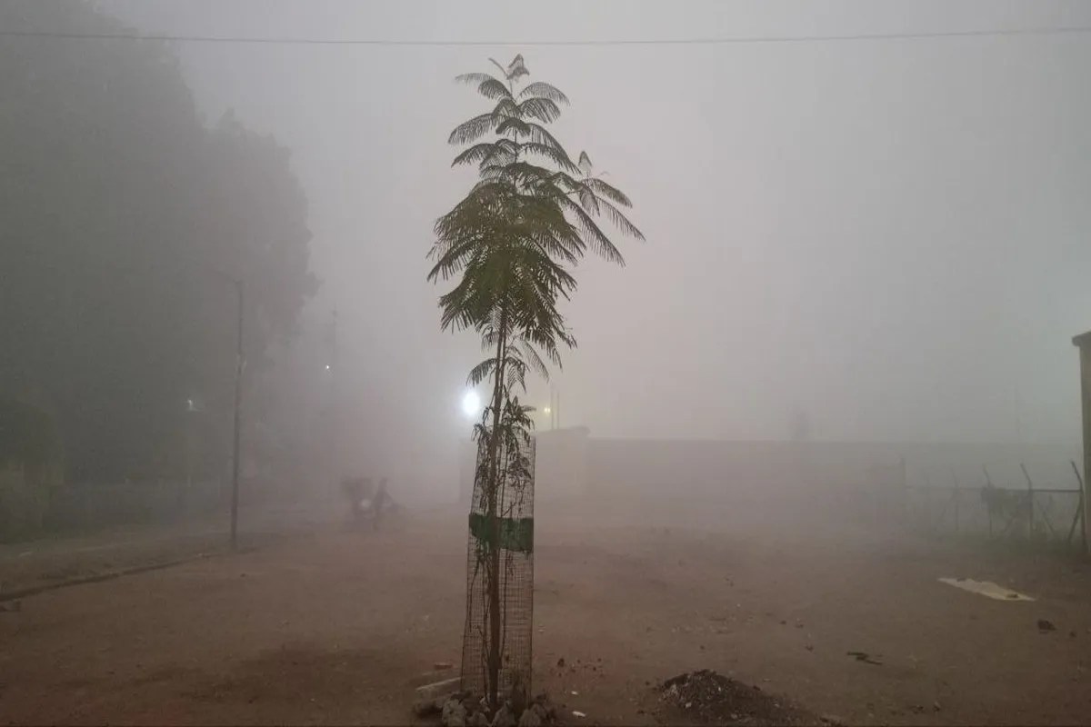 Weather: आगामी पश्चिमी विक्षोभ से 9 जनवरी के बाद प्रदेश में कोहरे और ठंड में मिल सकती है राहत