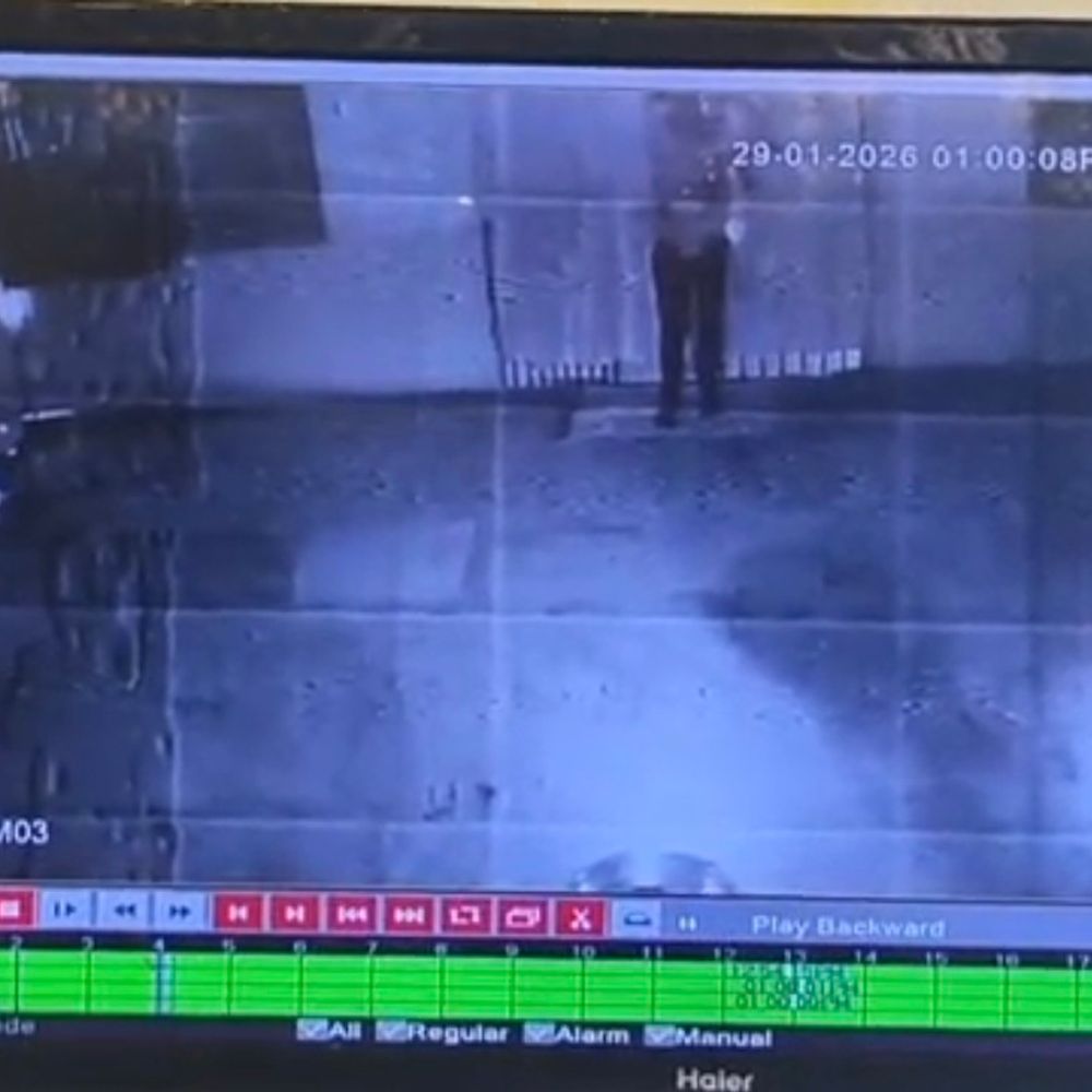 ज्वालामुखी मंदिर में चोरी, घटना CCTV में कैद:माता की आंखें, माला, दान पेटी ले गए चोर; फिंगरप्रिंट एक्सपर्ट जांच में जुटे