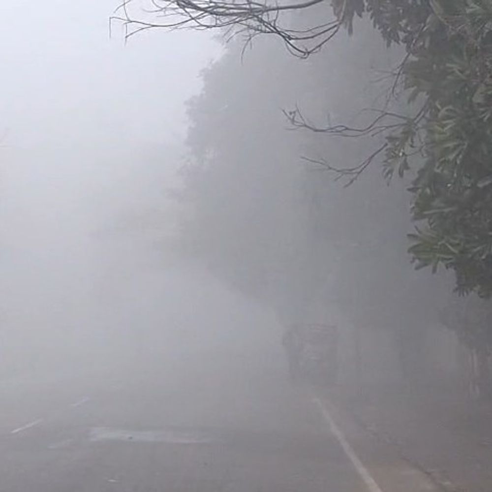 इटावा में घना कोहरा, तापमान 7 डिग्री सेल्सियस:जनजीवन, रेल और सड़क यातायात प्रभावित