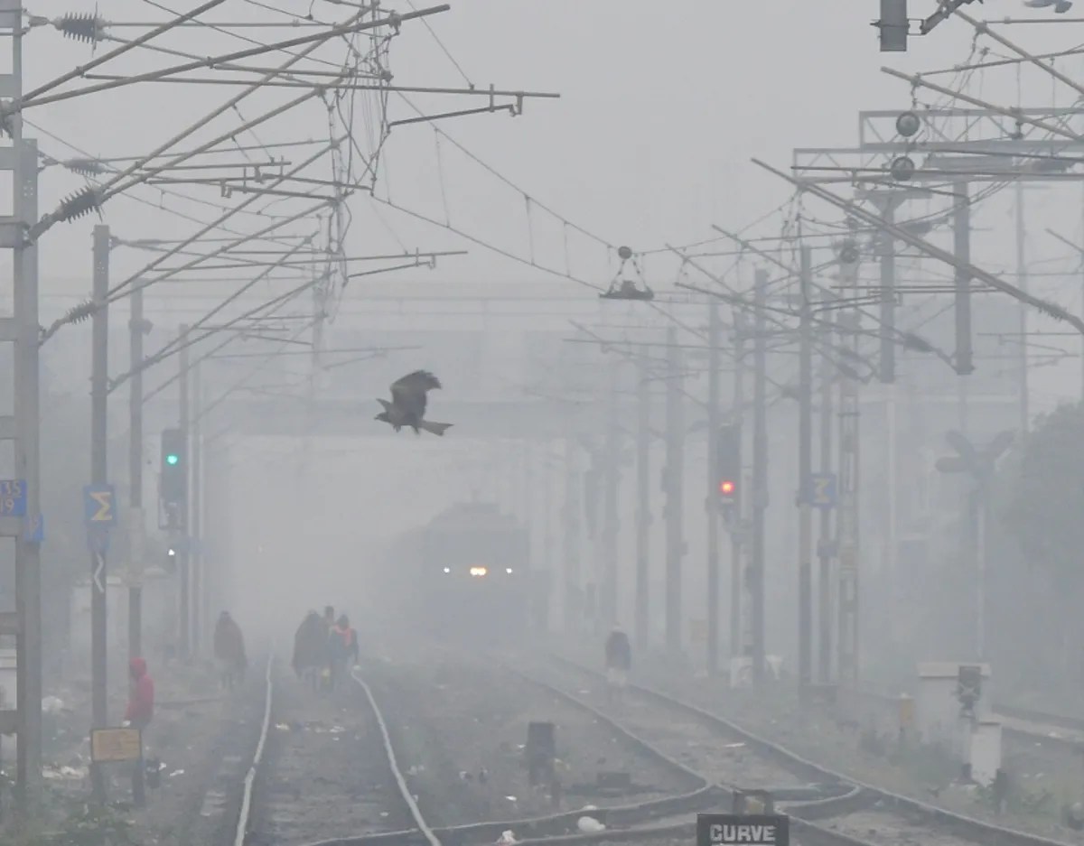 सर्दी, कोहरा और ज़िंदगी की रफ्तार देखें photos