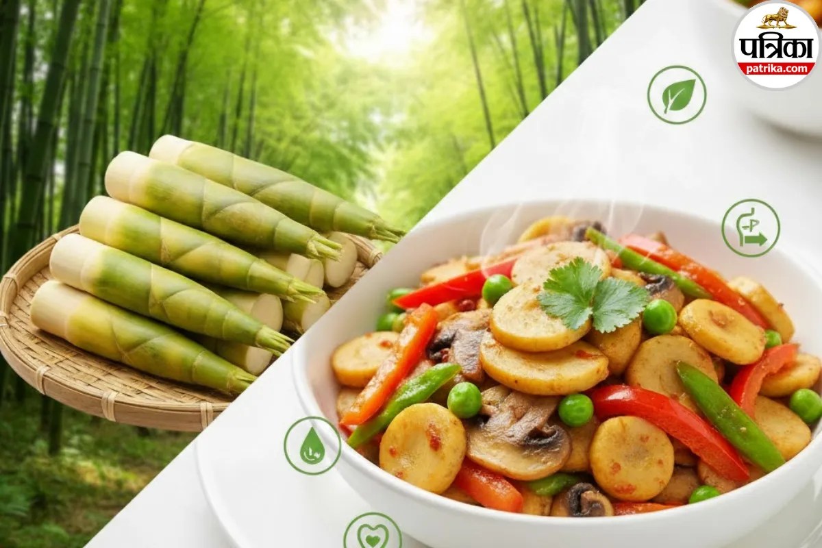 Bamboo Health Benefits: क्या आपकी थाली में भी आने वाला है बांस? दुनिया को खतरनाक बिमारियों से बचाएगा एशिया का ये पौधा!