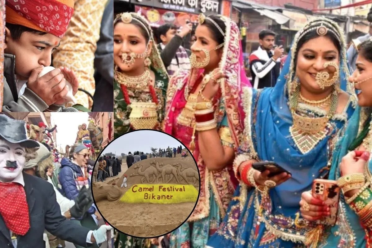 Bikaner Camel Festival 2026: अंतरराष्ट्रीय ऊंट उत्सव का भव्य आगाज, जानें आज कौन-कौनसे होंगे कार्यक्रम?