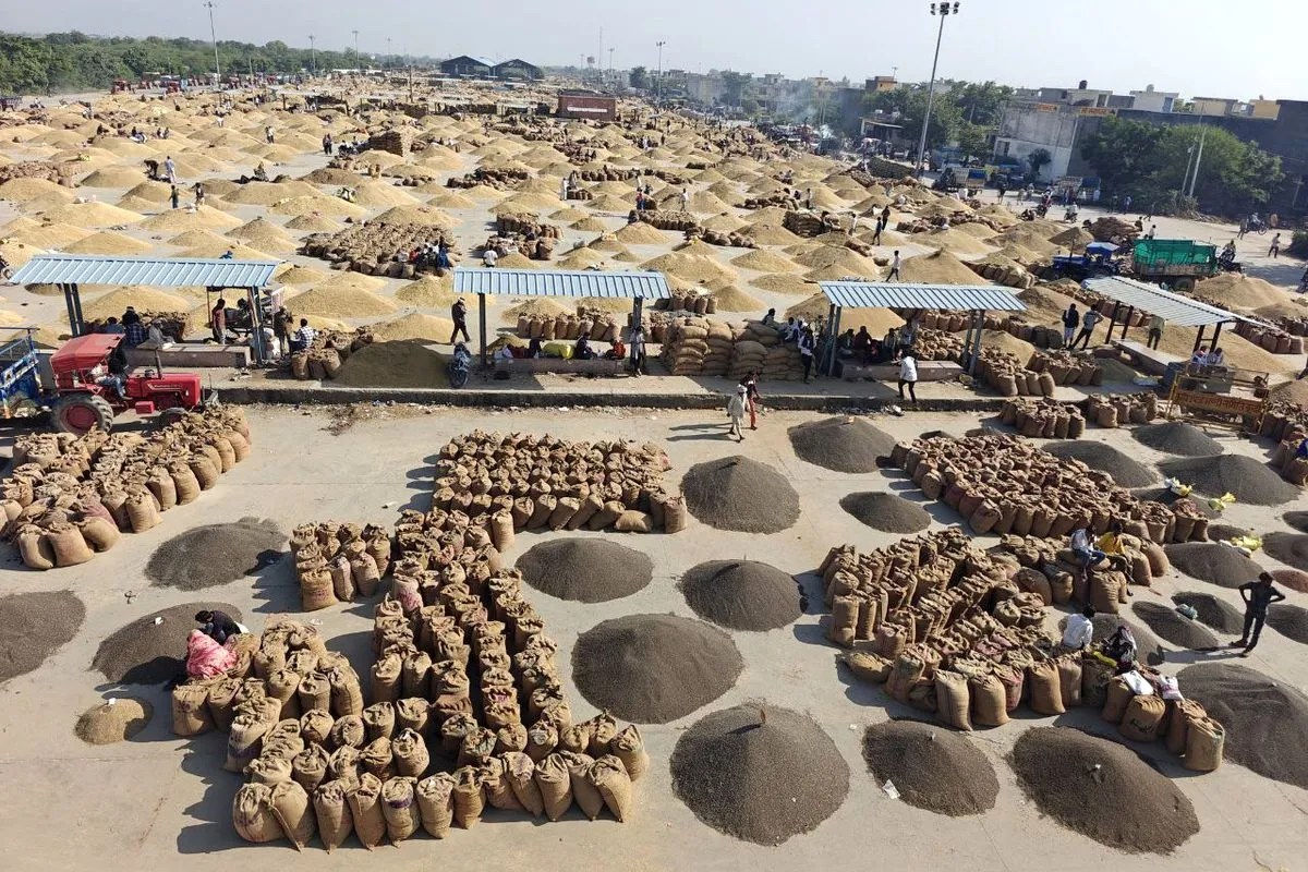 CG Dhan Kharidi: धान खरीदी में बड़ी अनियमितता, 2067 क्विंटल धान की कमी, निरीक्षण में हुआ खुलासा